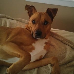 Meet your Posher, Jaymee